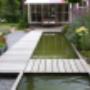 Moderne tuin
