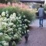Onderhoudsvriendelijke border