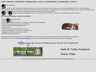 Double Yy Kattenhotel
