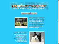 Kattenhotel Wognum