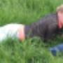 samen in het hoge gras