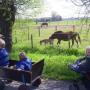Kinderdagverblijf Koetje Boe