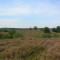 Wandelcoaching op de Regte Heide