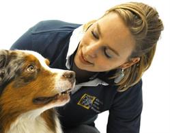 Dierenartsenpraktijk Kliniek Voor Dieren Woerden