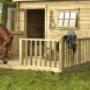 Koster Hout Tuinhout Wim