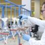 Eurofins Lab Zeeuws-Vlaanderen (LZV) BV