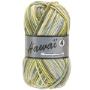 Hawai 4 multi