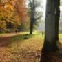 Landschap Overijssel