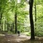 Landschap Overijssel