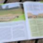 Landschap Overijssel
