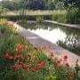 Hoveniersbedrijf Leen Noordermeer