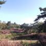 ACHTER DE CAMPING, PRACHTIGE W