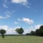 UITZICHT VANAF DE CAMPING
