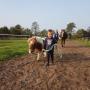Kinderpony's