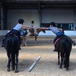 Gerner Manege