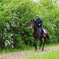 Groenewoude Manege