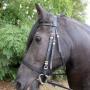 Stroombroek Manege