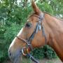 Stroombroek Manege