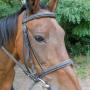 Stroombroek Manege