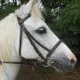 Stroombroek Manege