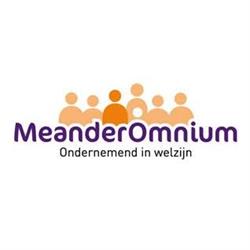 Stichting MeanderOmnium