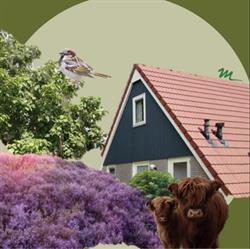 Meeussen Bungalowverhuur