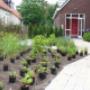 MH Hoveniers