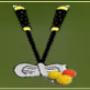 Visschers Midgetgolf