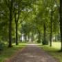Foto wandelen: Frank Kanters