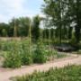 moestuin van Cannenburch