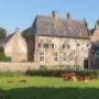 Kasteel met brandrode runderen