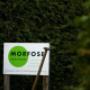 Hoveniersbedrijf Morfose