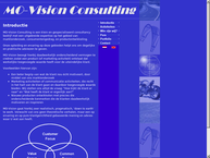 Mo-Vision Consulting