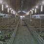 Las- en contructiewerken Multi-Las BV