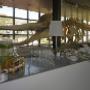 Evenment in het Museon