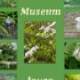 geniet van de museumtuin