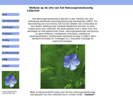 Enden Natuurgeneeskundig Therapeut Jolieke Vd