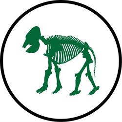 Natuurhistorisch Museum Rotterdam