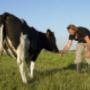 Werken met dieren