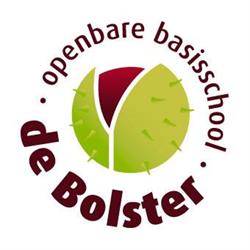 OBS de Bolster