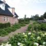 Hoveniersbedrijf Oscar's Groen