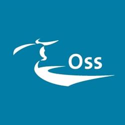 Gemeentehuis Oss
