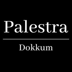 Palestra Dokkum