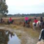 Paardensportcentrum De Kempen