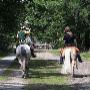 Paardensportcentrum De Kempen