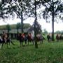 Paardensportcentrum De Kempen