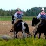 Paardensportcentrum De Kempen