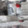 Ballast Slapen