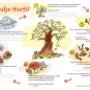natuureducatie