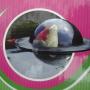 Fish bowl